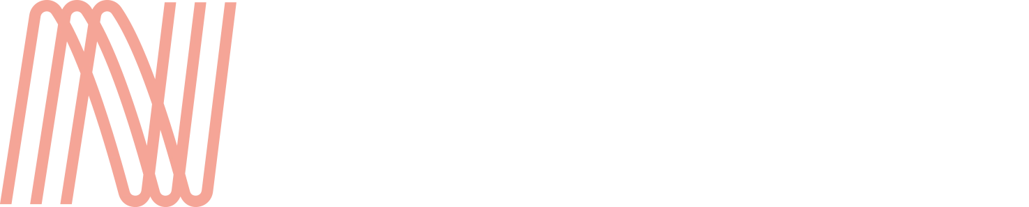 Newzzer - Logo